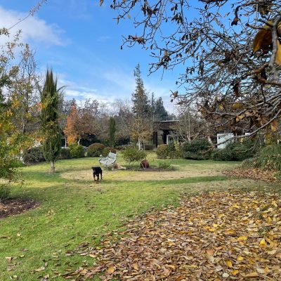 Jardin formado